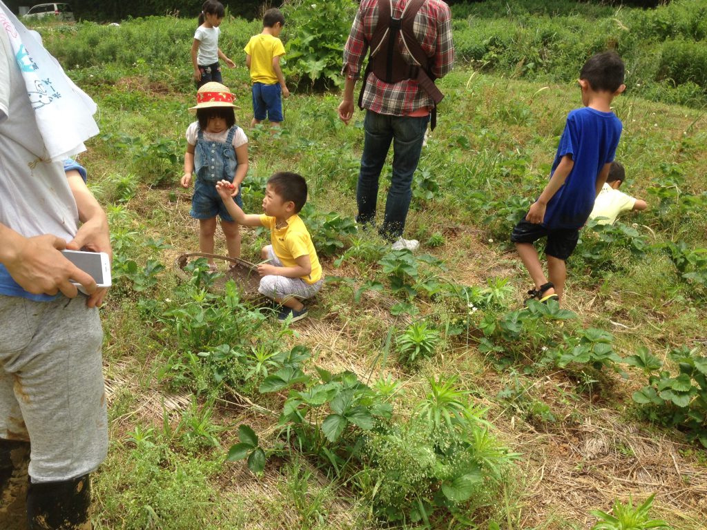 529田植え_5051