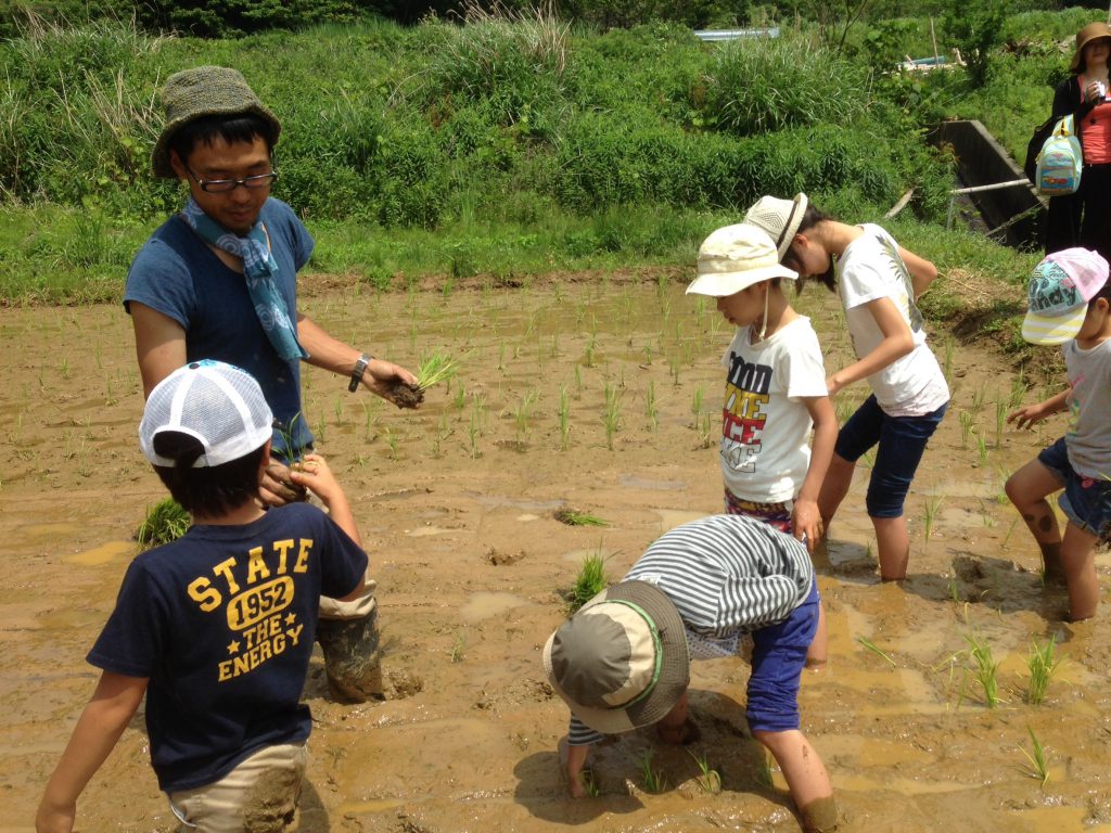 529田植え_6168