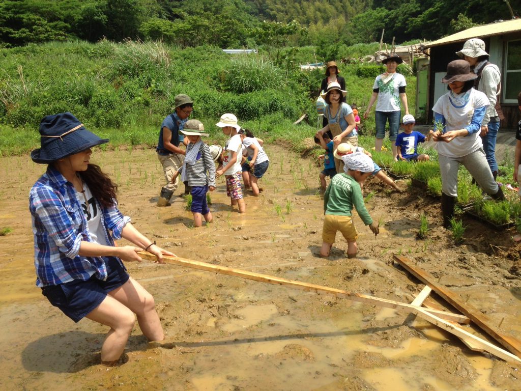 529田植え_3691